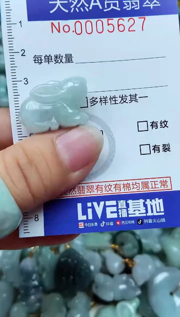 翡翠未镶嵌吊坠(不含链)翡翠
