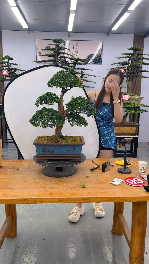 无花朵偌*00000000000