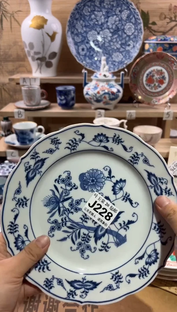 瓷片          J228