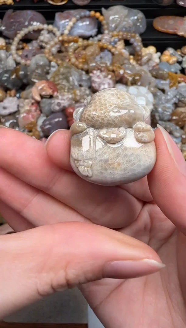 硅化珊瑚（珊瑚玉）未镶嵌颈饰643