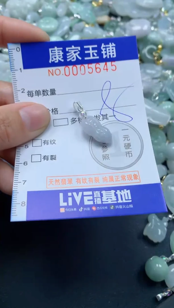 颈饰未镶嵌翡翠5645