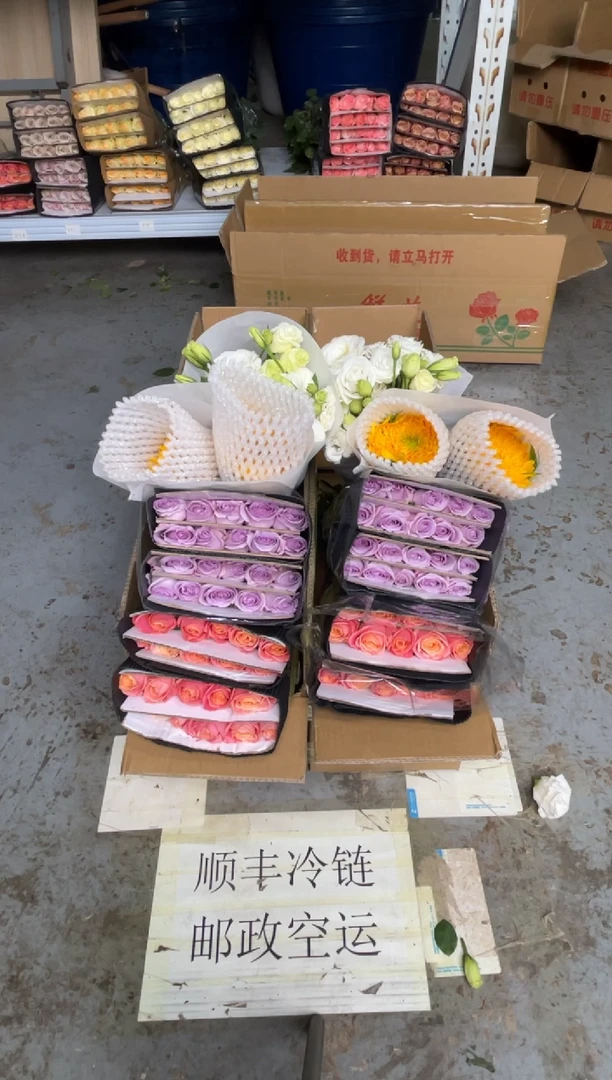 朱小姐20枝+海洋之歌20枝+白桔梗400克+ 泰迪2枝