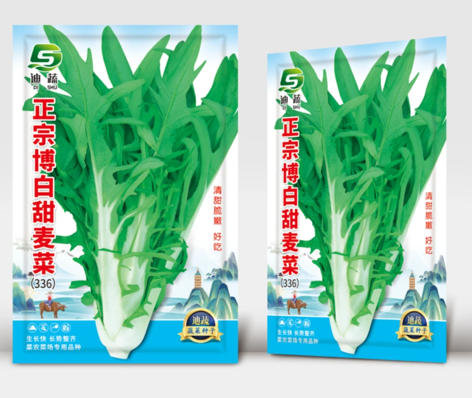 高端品种336*正宗博白甜麦菜蔬菜种子(1g）