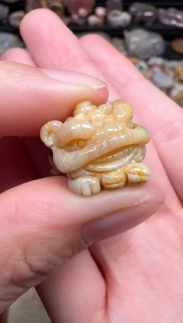 颈饰未镶嵌硅化珊瑚（珊瑚玉）319