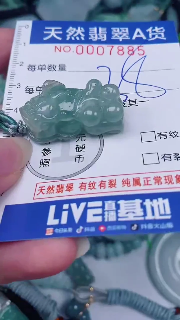 翡翠未镶嵌颈饰00007885