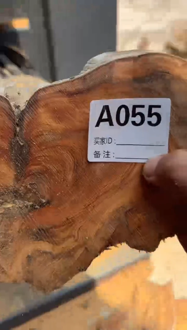 柏木太行陈化崖柏一片055