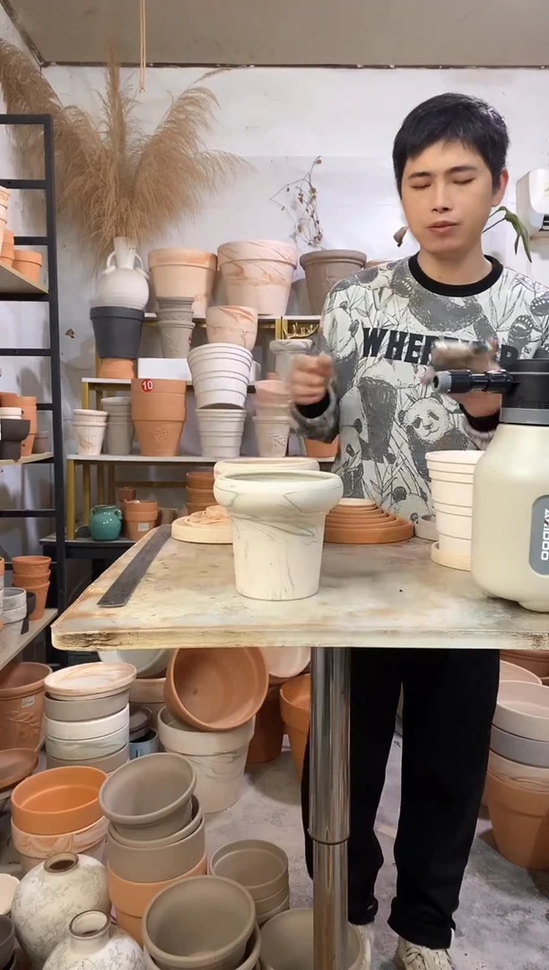 15*14绿白陶蘑 1盆无托