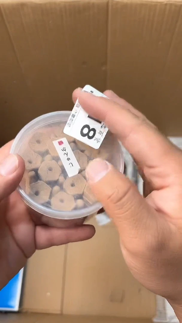 日本名窑向***向瓷器瓷器瓷器瓷器918