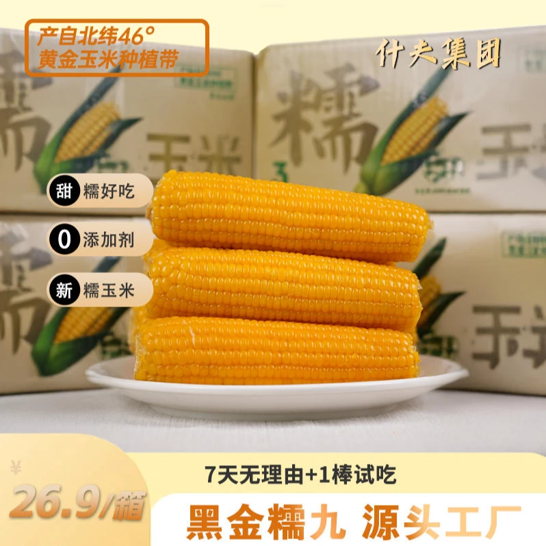东北玉米糯九博斯糯九黄糯玉米软糯香甜10棒独立包装3小时锁鲜d