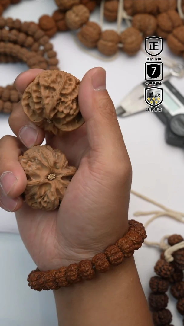 金刚菩提手串3955555555