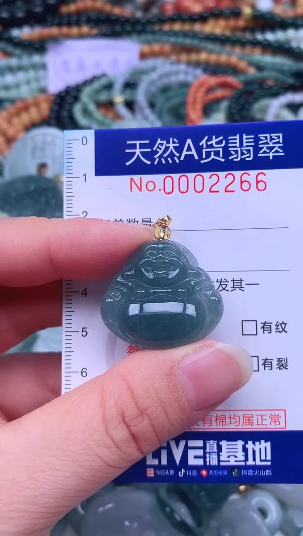 颈饰未镶嵌翡翠天然翡翠