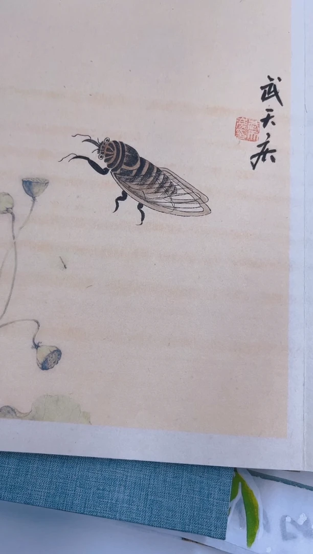 国画冰*啡武天庆老师贝叶草虫