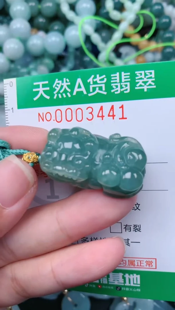 翡翠未镶嵌颈饰.0003441