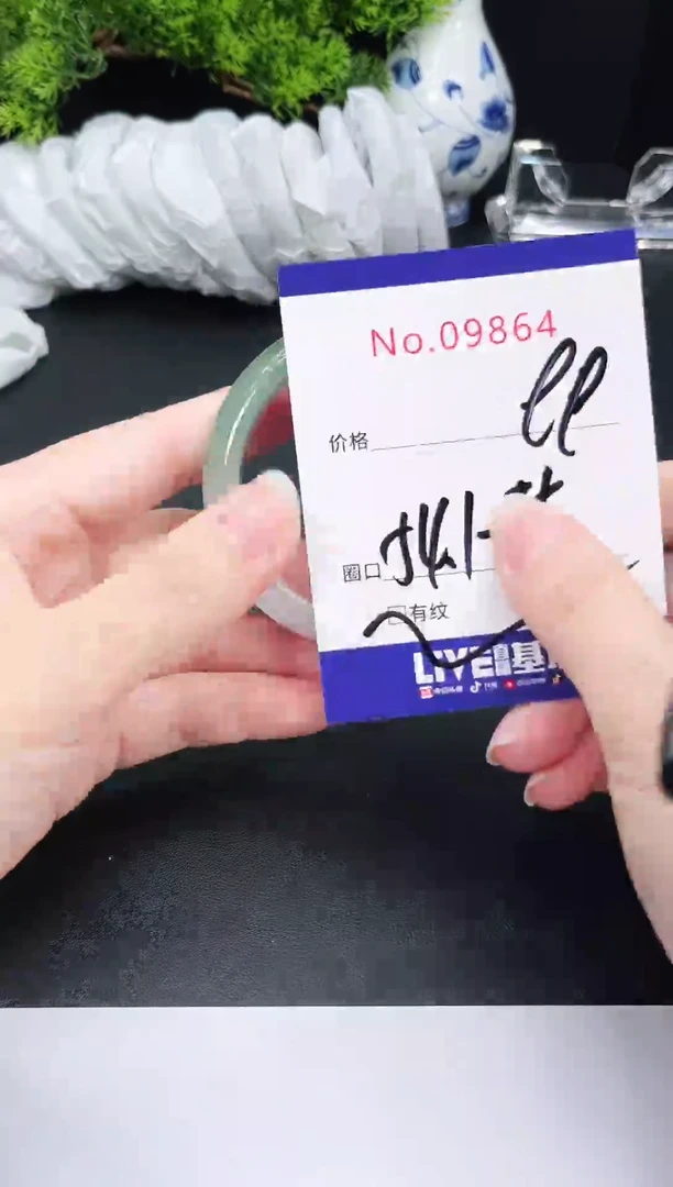 未镶嵌手镯翡翠9864