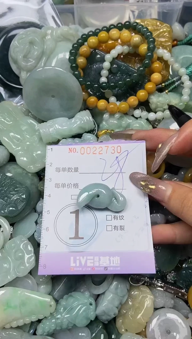 【闪购商品】翡翠颈饰未镶嵌闪购0022730