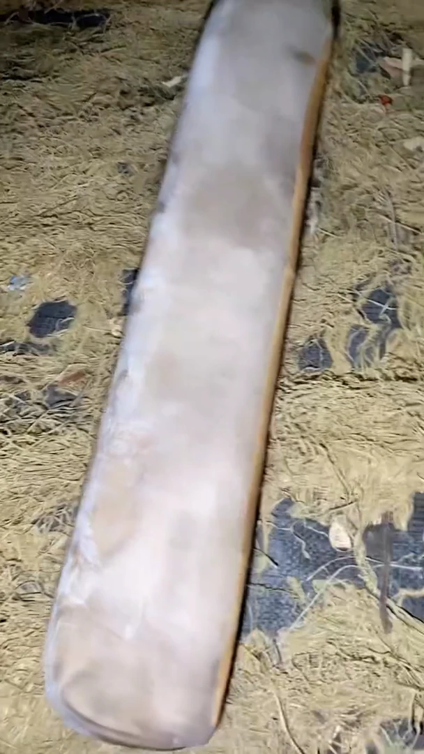 木            摆件一个【绍文甄选】  唐 开