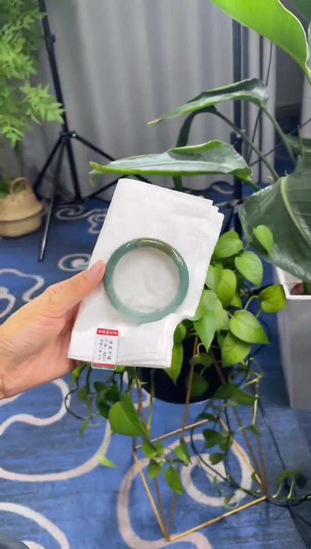 未镶嵌手镯翡翠8702***