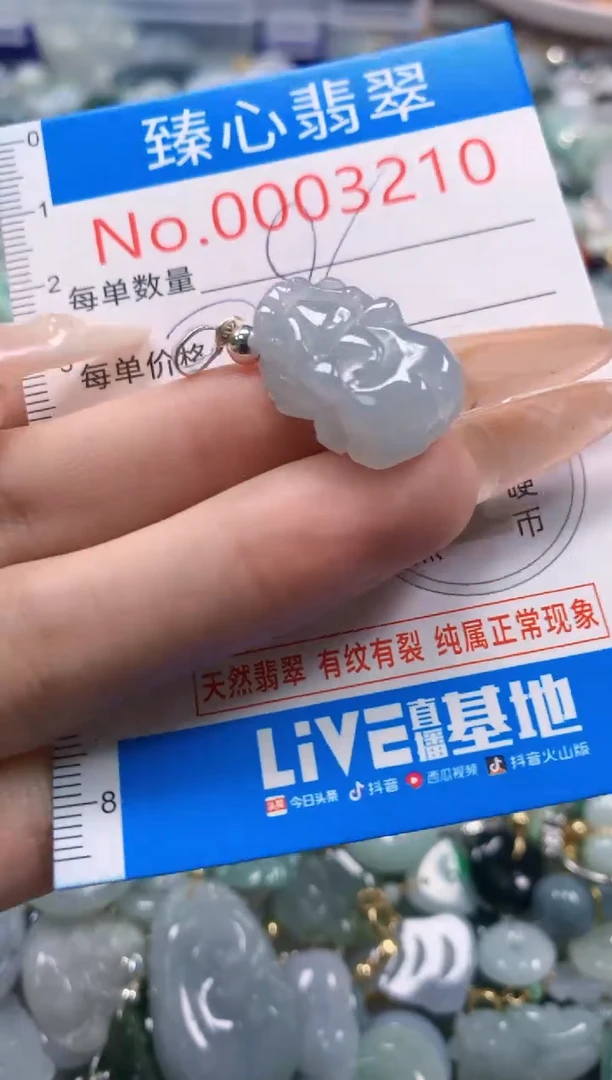 翡翠未镶嵌颈饰含绳0003210