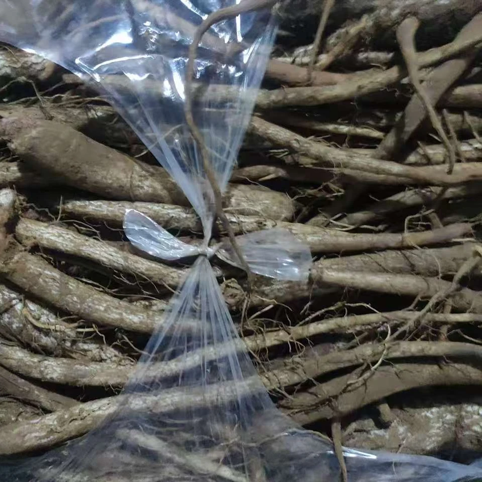 二分店威宁马摆河原生态马刺根