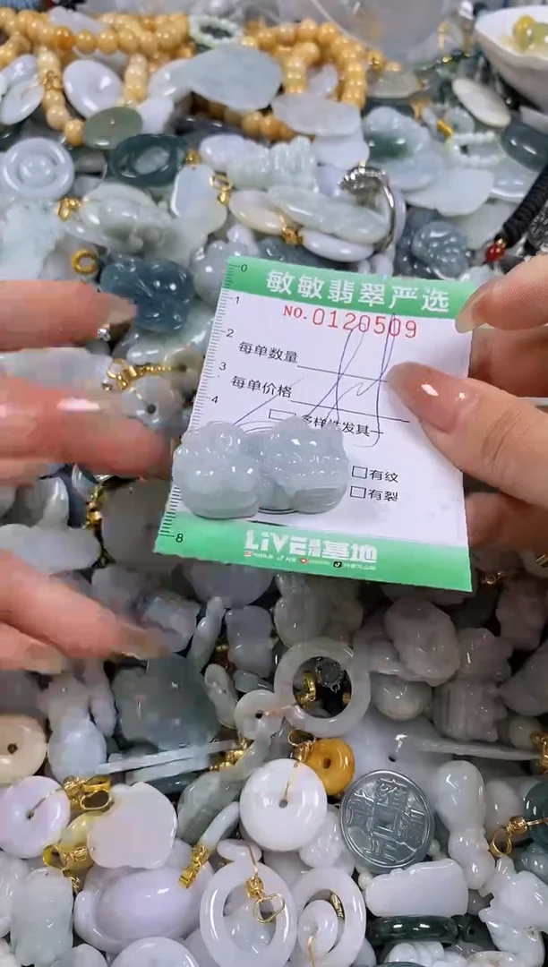 【闪购商品】翡翠颈饰未镶嵌闪购0120509多样性发其一