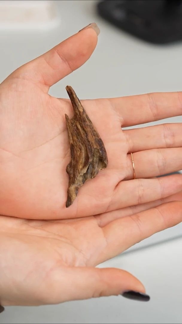 沉香沉香碎屑沉水软油越南富森红土 4.9g