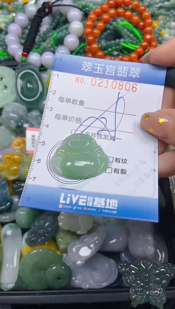 颈饰未镶嵌翡翠闪购C0210806多样性发其一