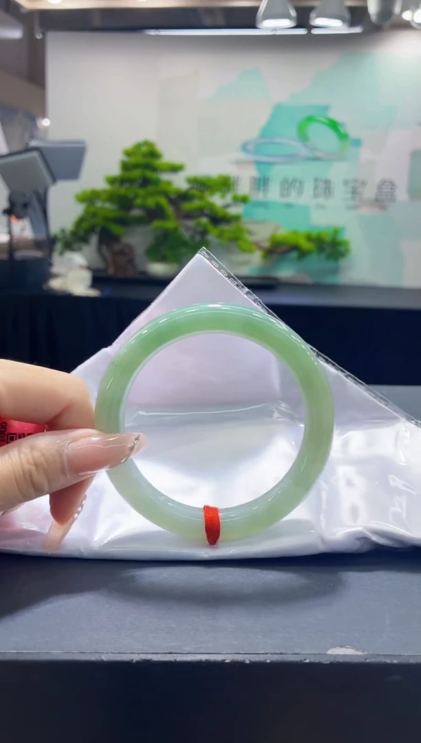 未镶嵌手镯翡翠5