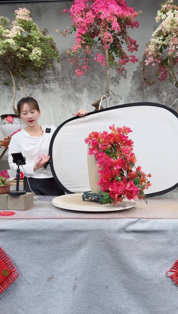 【闪购商品】盆景索菲亚