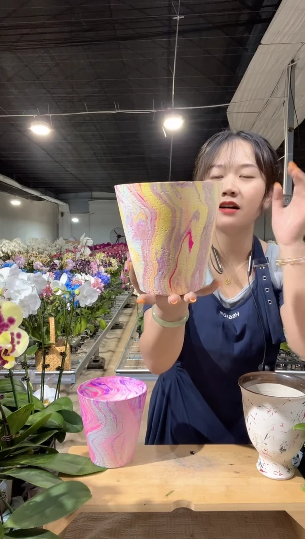 景德镇彩色花盆1个