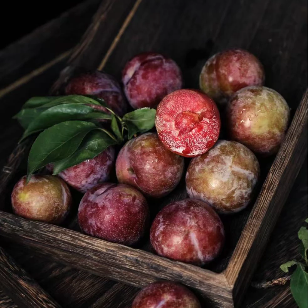 彩文专属 四川宣汉庙安高山“臻品”脆红李 脆甜 多汁脱骨爽脆