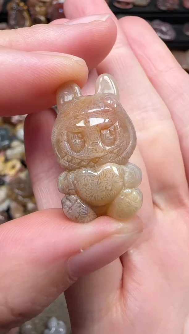 颈饰未镶嵌硅化珊瑚（珊瑚玉）850