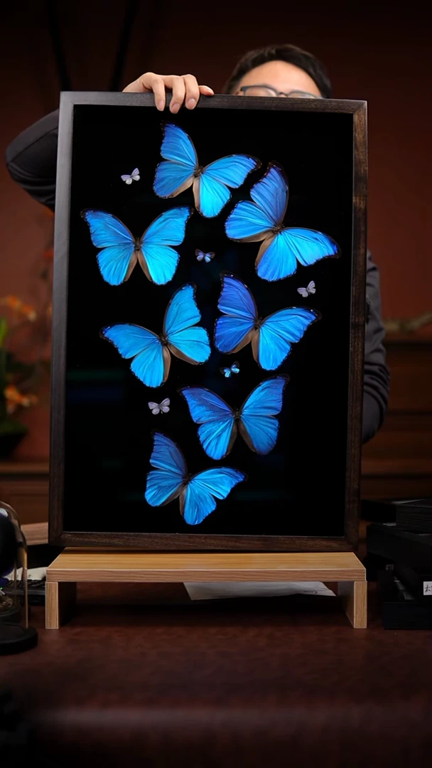 大幅大蓝闪大幅大蓝闪