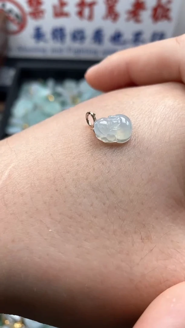 【闪购商品】翡翠颈饰未镶嵌新年快乐！