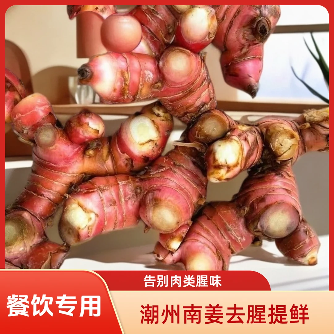红皮（大肉）南姜潮州南姜高良姜牛羊肉卤肉去腥除味火锅底料香料