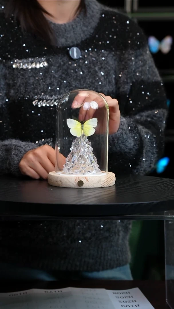 迁粉蝶圣诞灯款