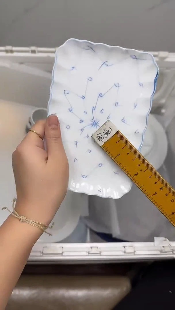 【闪购商品】222回流瓷器默认微瑕，18.8包邮