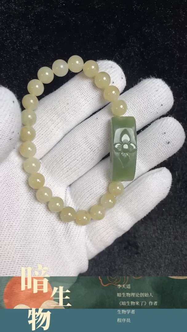 【闪购商品】和田玉吊坠(赠链)未镶嵌手串