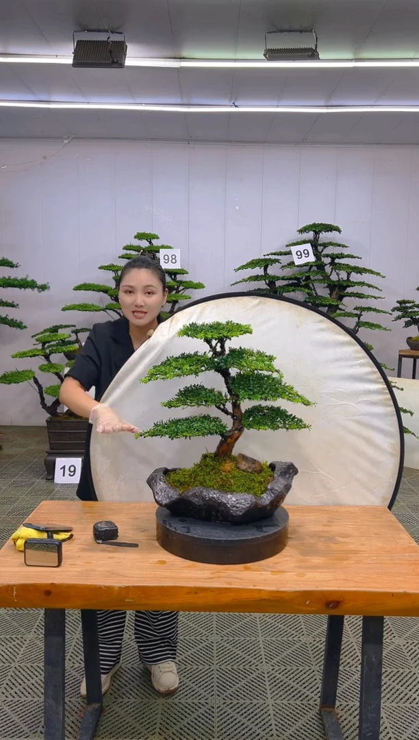 无花朵一物一拍一物一拍