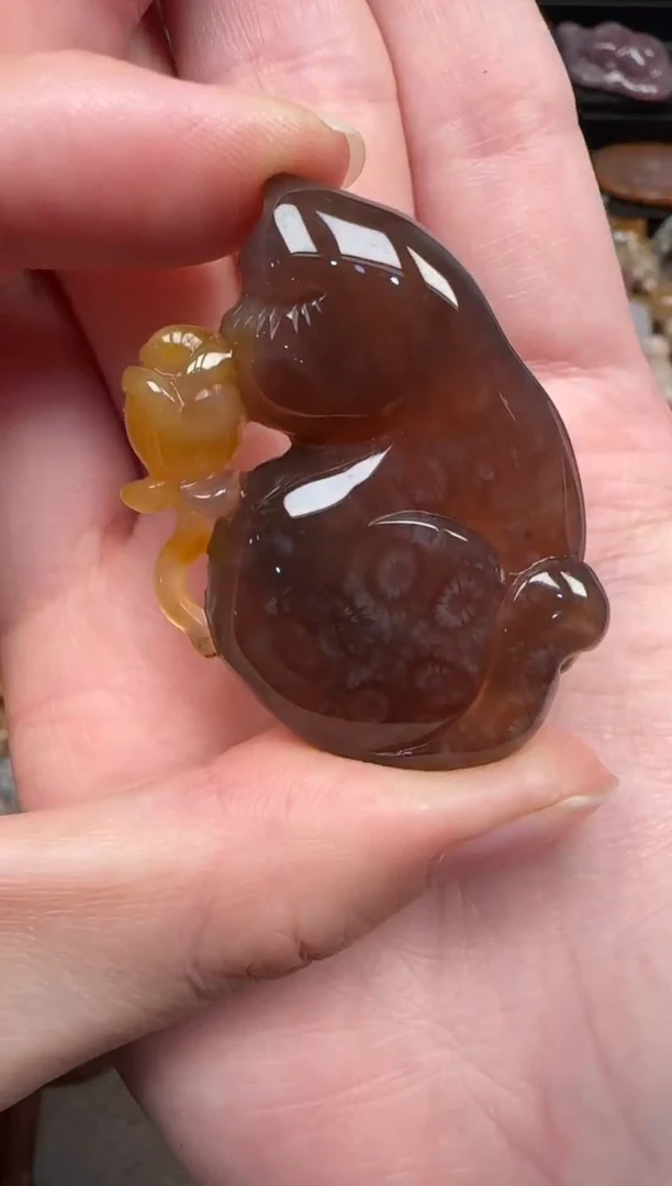 颈饰未镶嵌硅化珊瑚（珊瑚玉）542