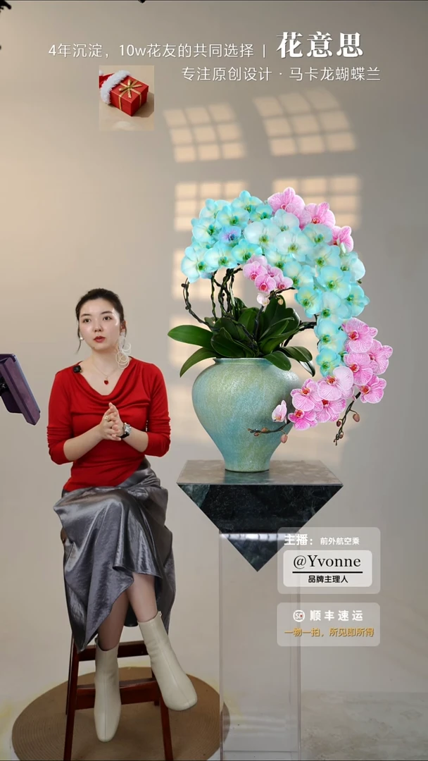 全部花朵030一物一拍蝴蝶兰艺术盆景