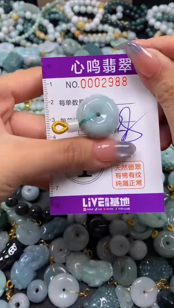 颈饰未镶嵌翡翠闪购002988