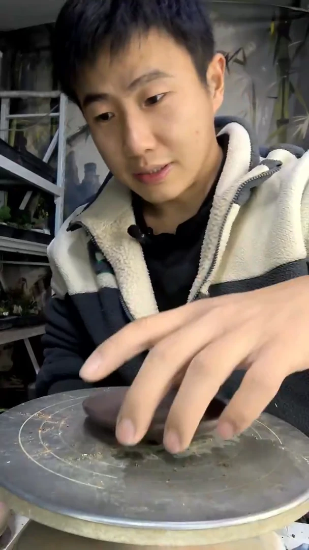 d*中青园艺一物一拍183