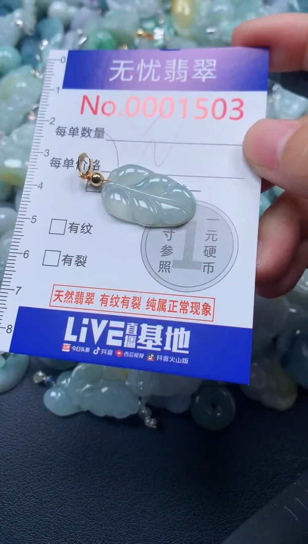 颈饰未镶嵌翡翠1503