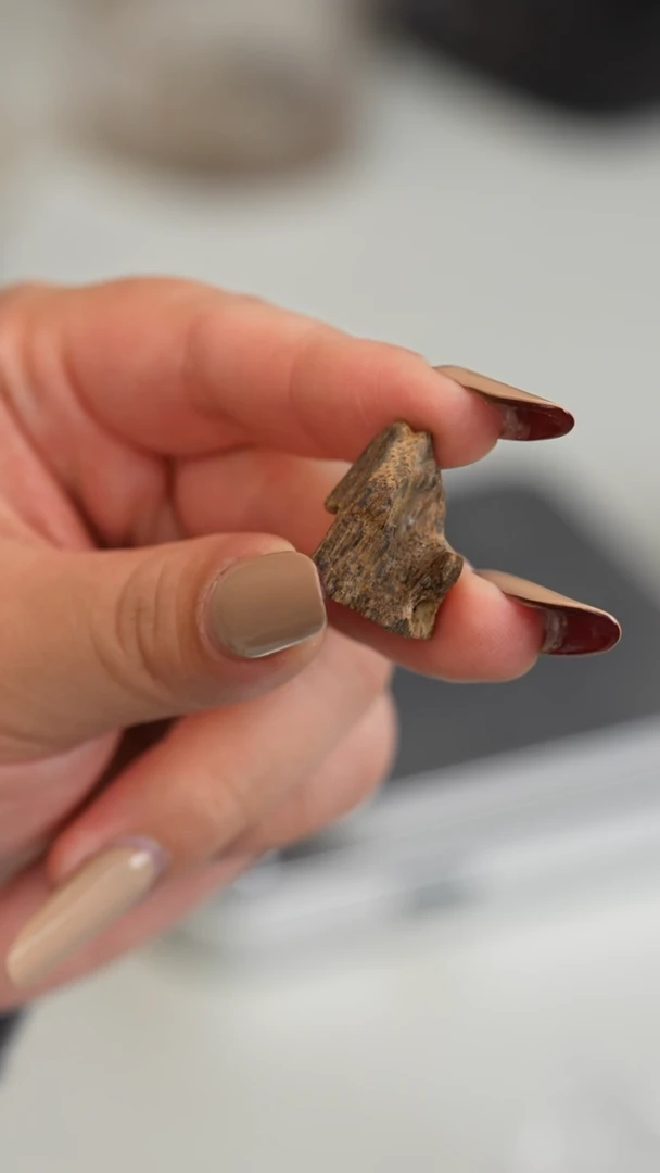 沉香沉香碎屑越南富森红土沉水1.4g