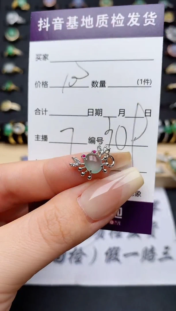 翡翠银S925镶嵌颈饰..........