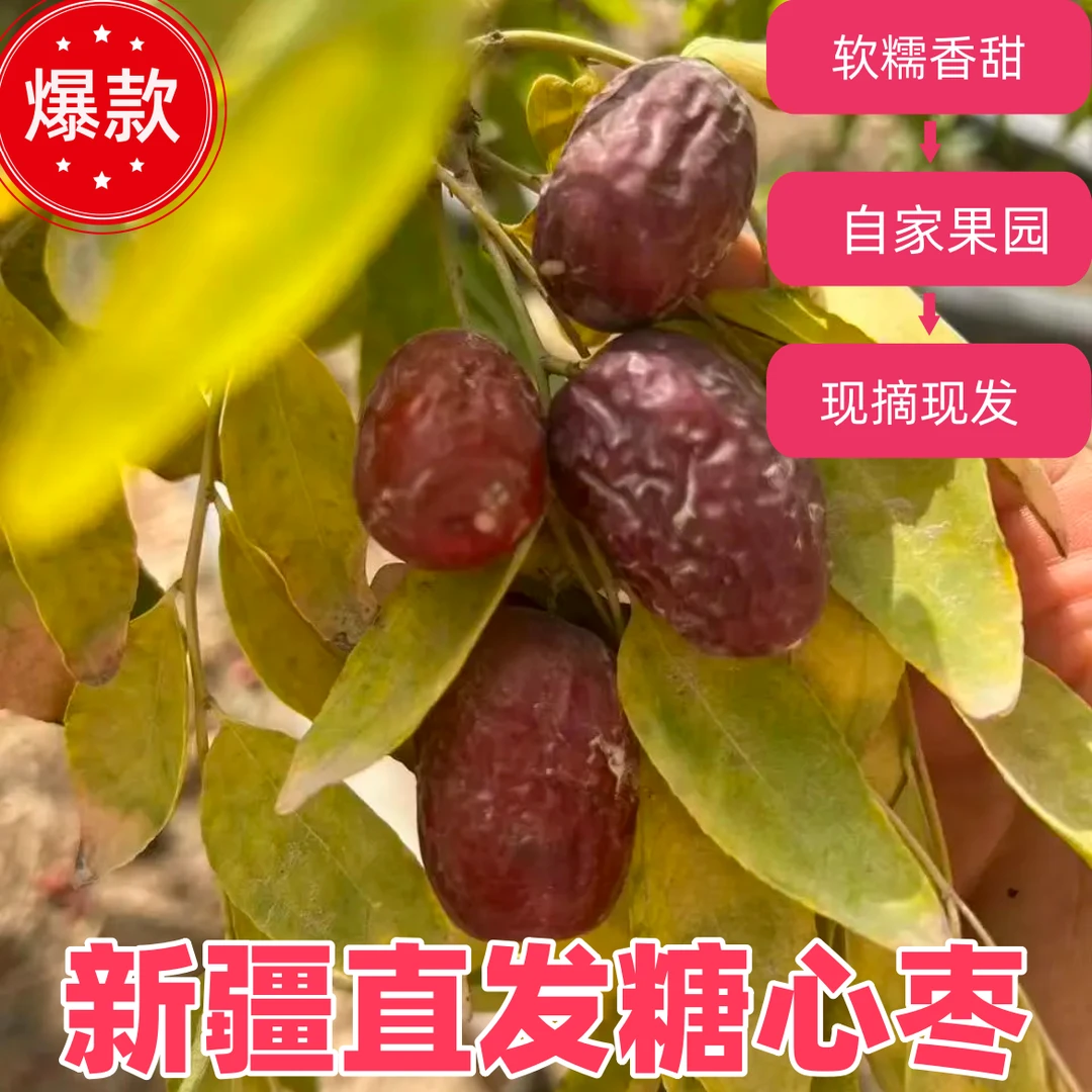 川妹推荐【新疆软湿灰枣】2025年新疆大红鲜枣现摘现发枣非灵武长枣