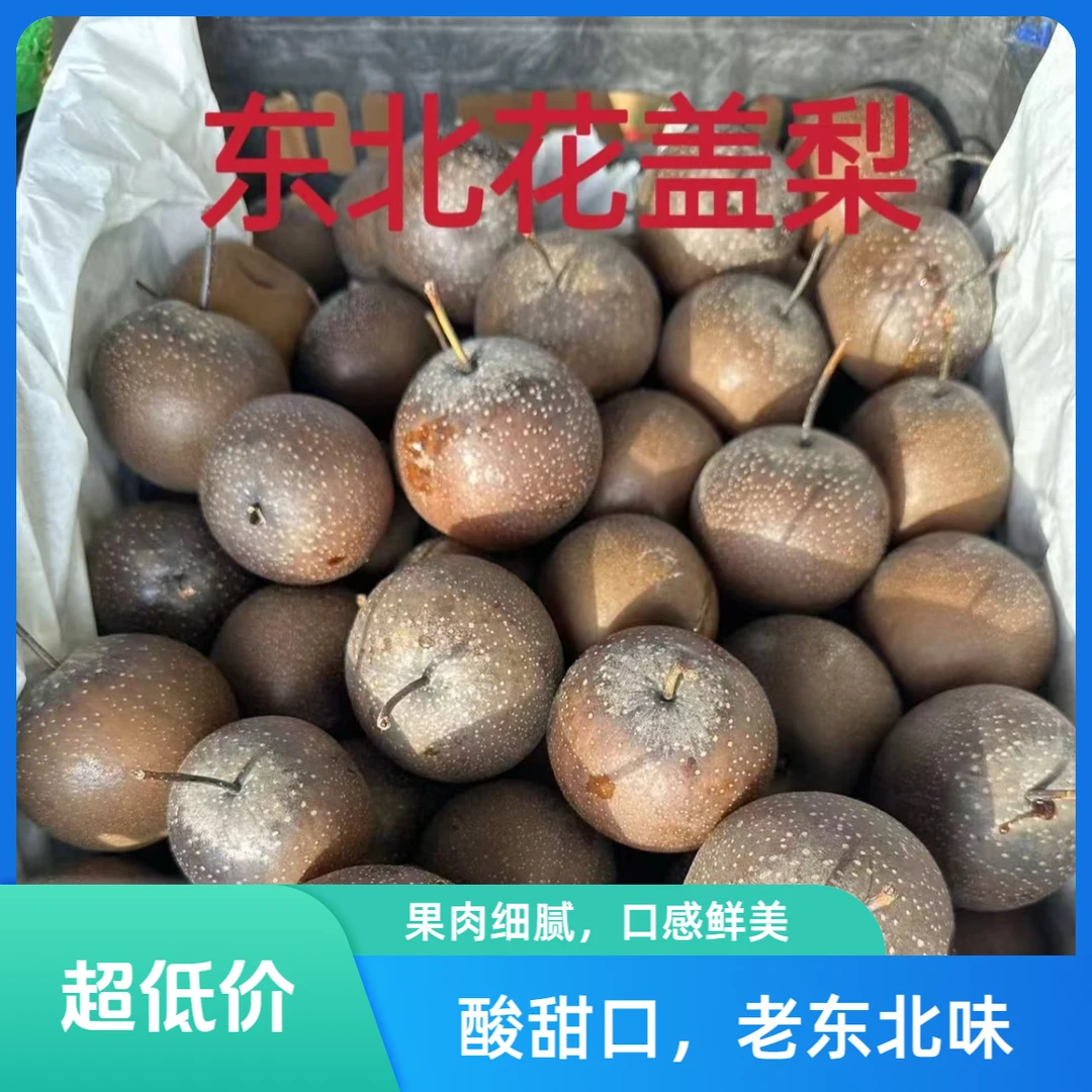 【顺丰包邮】年货节东北冻花盖梨5斤装酸甜口老东北味坏果包赔