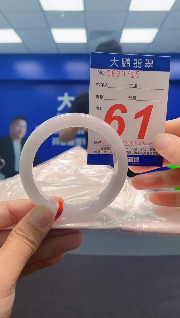 未镶嵌手镯翡翠AAAAAAAAA