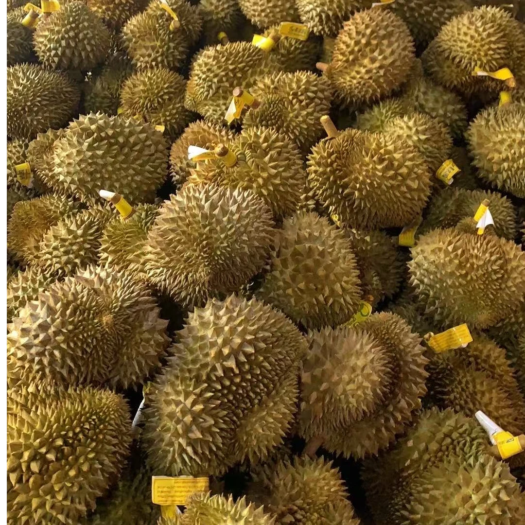 【三号称①】泰国北部金枕鲜榴莲一物一拍核小2-10斤干包黄肉榴莲新鲜金枕泰国东部