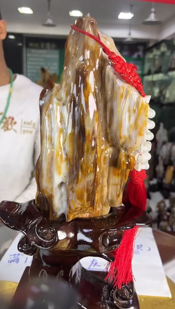 未镶嵌珠宝奇石硅化玉缅甸天然树化玉精品摆件